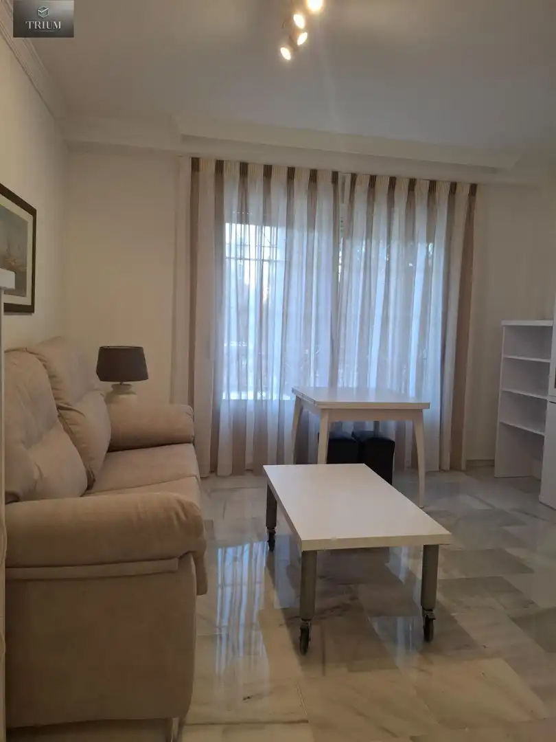 Living room of Flat for rent in Granada  with Heating and Furnished