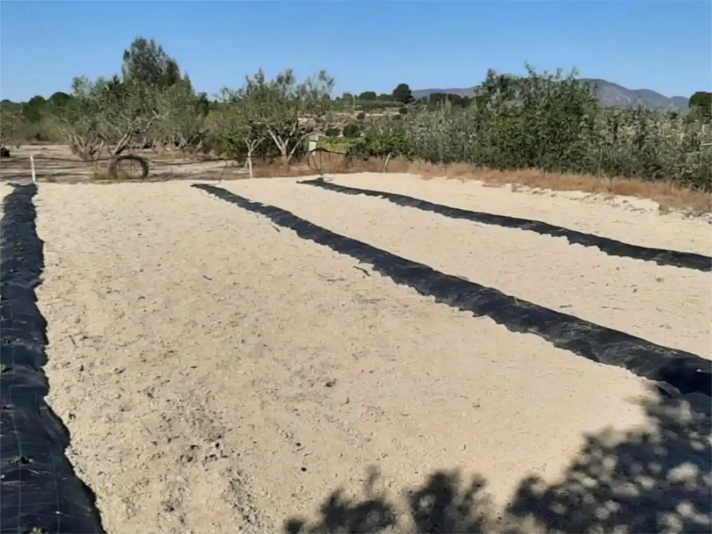 Finca rústica en venda en Albaida amb Piscina