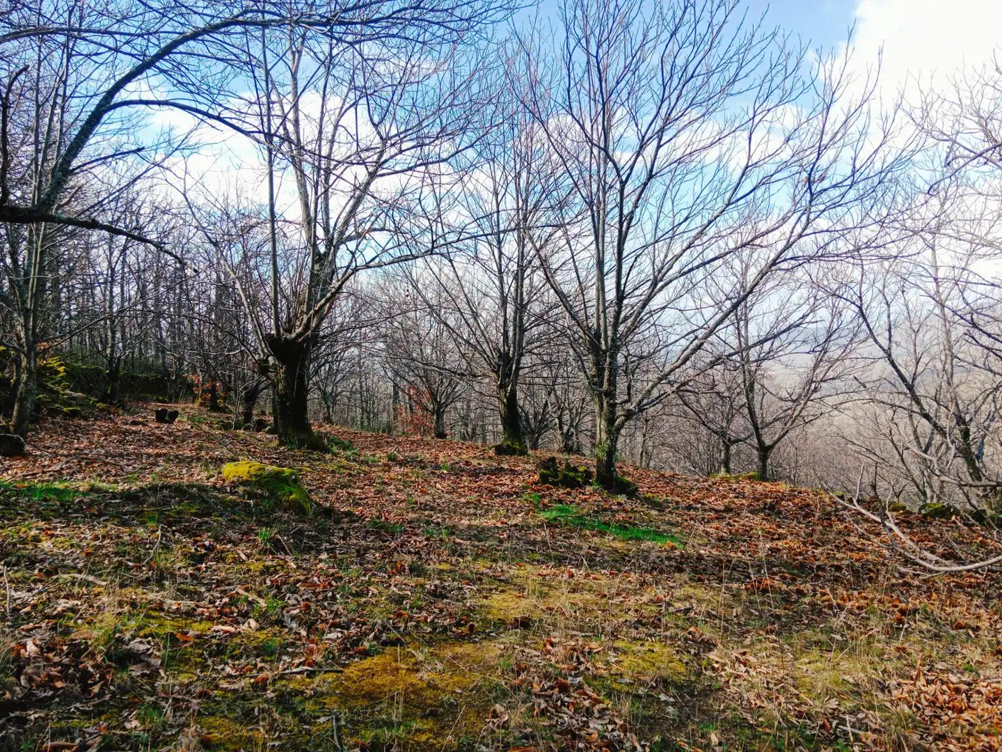 Terreni e lotti in vendita a Arroyomolinos de la Vera, imagen 32