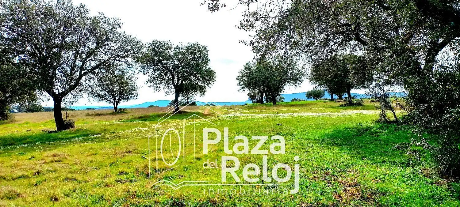 Terreno rustico in vendita a CERVANTES 0, imagen 7