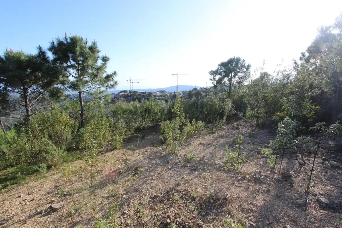 Terrenys i solars en venda a Montemayor - Marbella Club, imagen 21