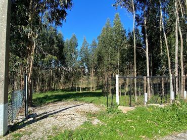 Terreny rústic en venda a Rúa Camiño dos Muiños 18