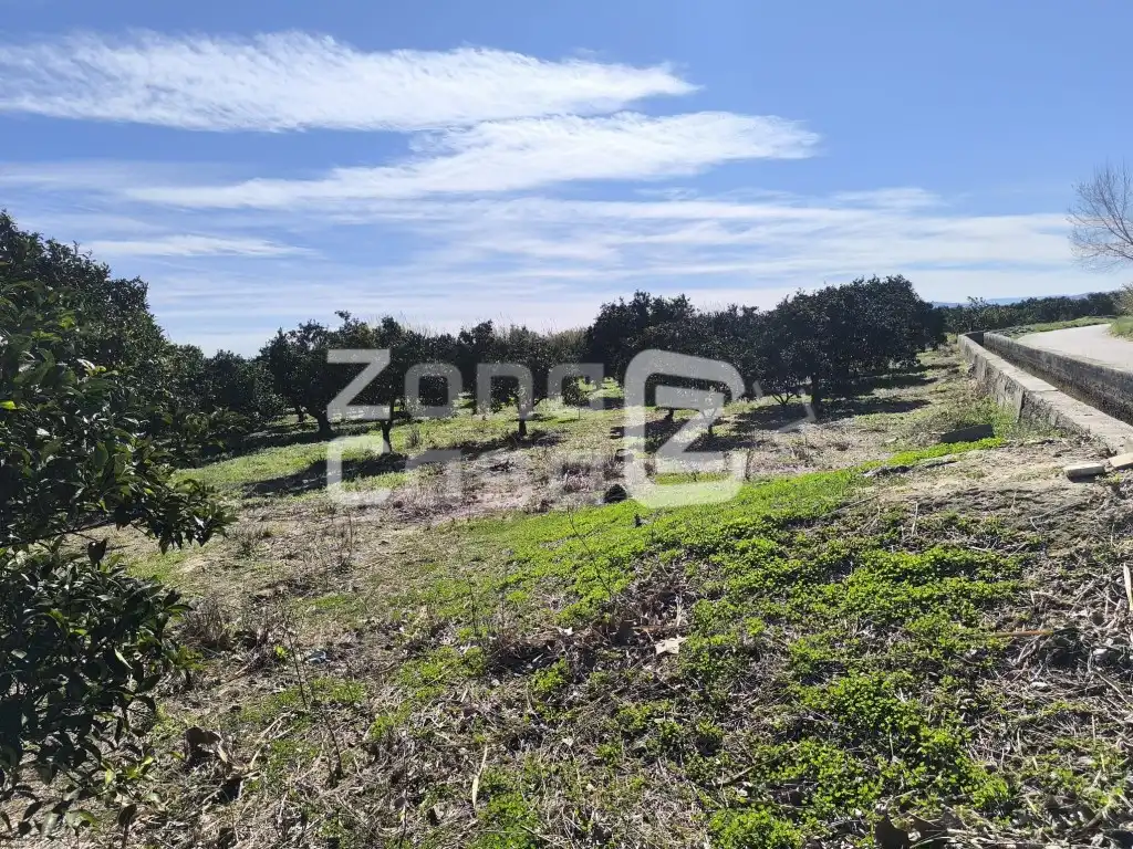 Country house for sale in Partida Barqueta La, imagen 4