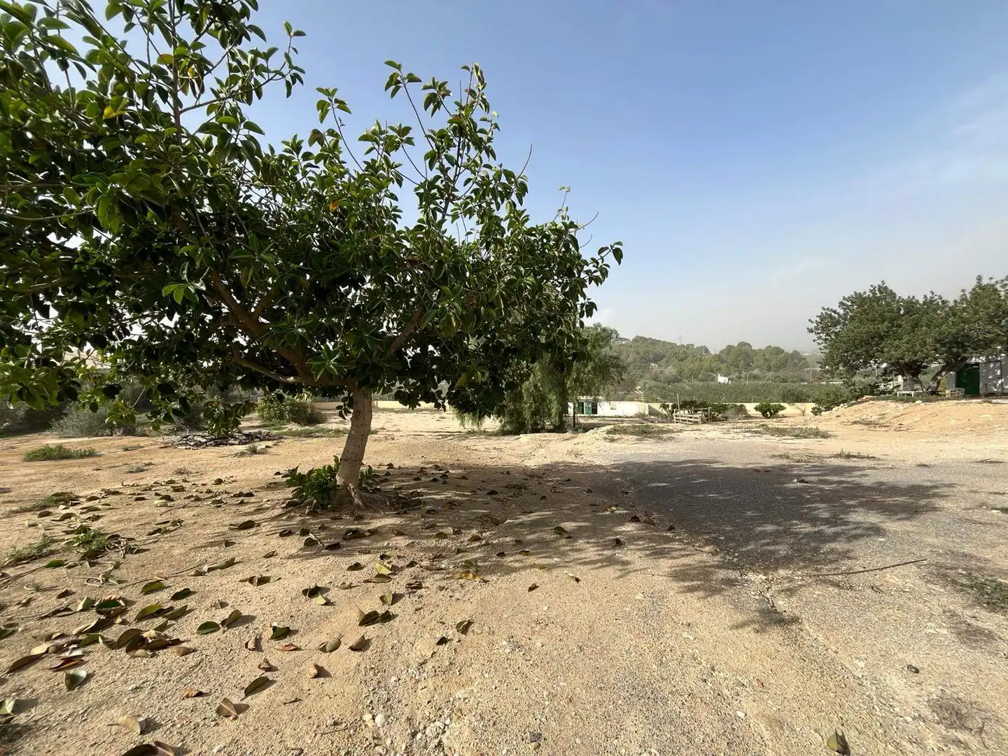 Finca rústica en venda en Altea