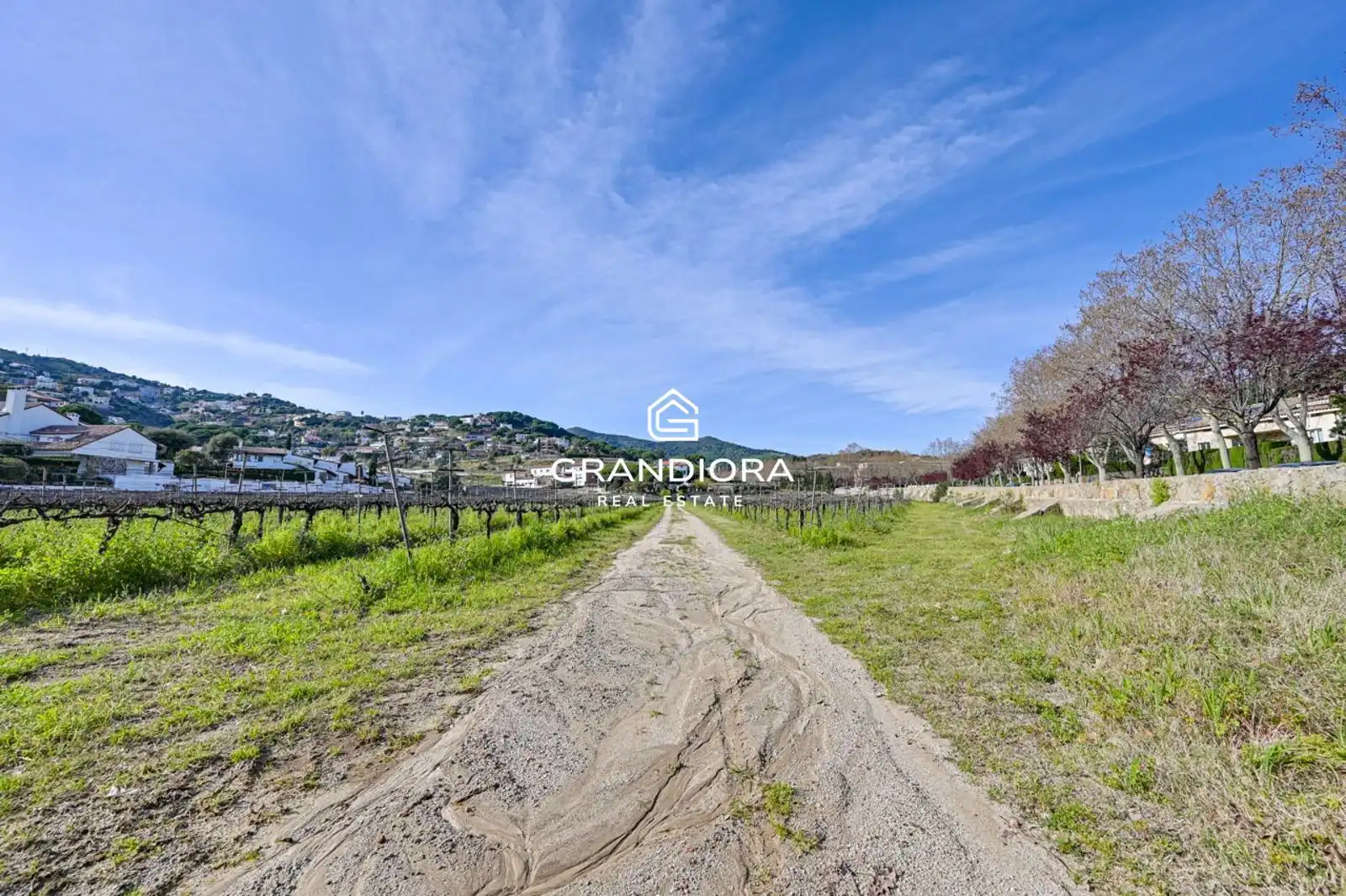 Casa amb piscina en venda a Riera Coma Fosca, imagen 2