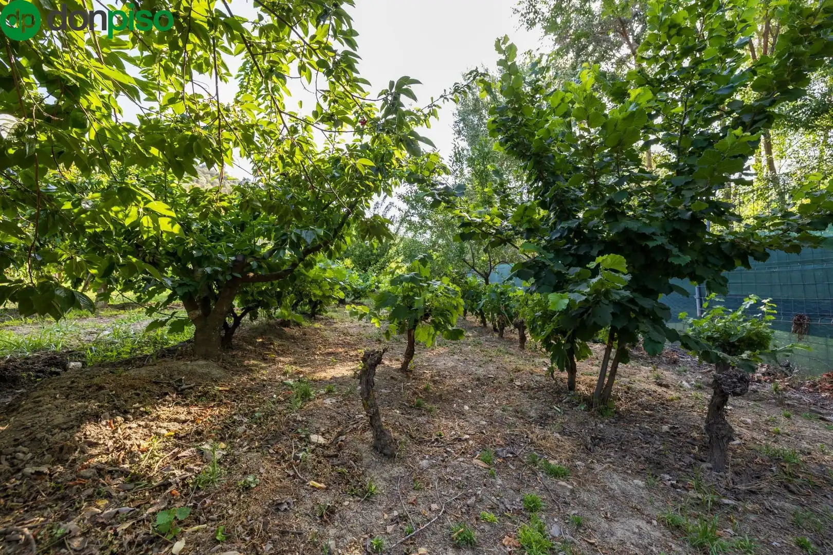 Terreno en venta en Paseo Paseo Duquesa, Pinos Genil