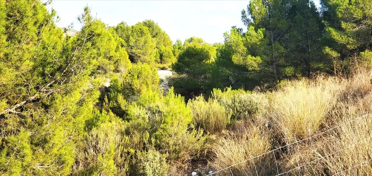 Lands and plots for sale in Monteral 210, imagen 4