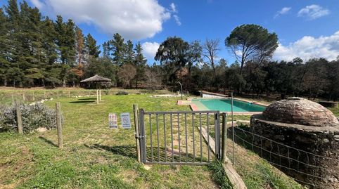 Foto 4 de Finca rústica de alquiler en Alzina, 8, Sant Feliu de Buixalleu, Girona