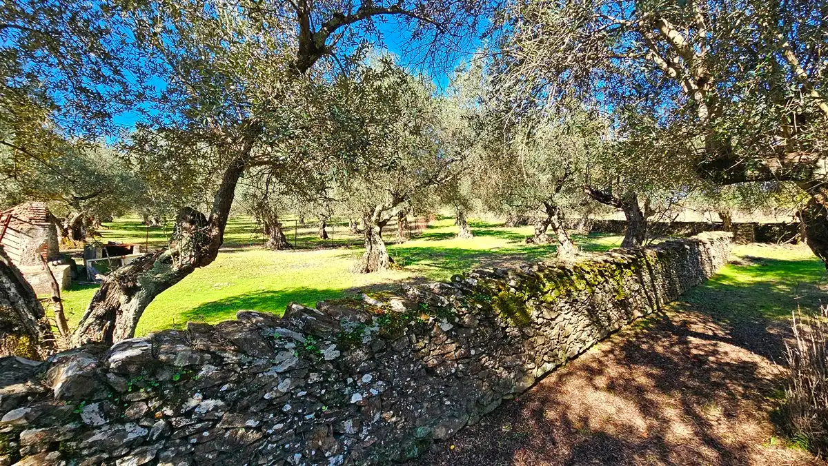 Casa rústica amb jardí en venda a Aracena, imagen 24