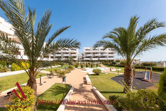 Apartamento en Alquiler en Calle Cabo Santa Maria, 3 en Lomas de Cabo Roig - Los Dolses