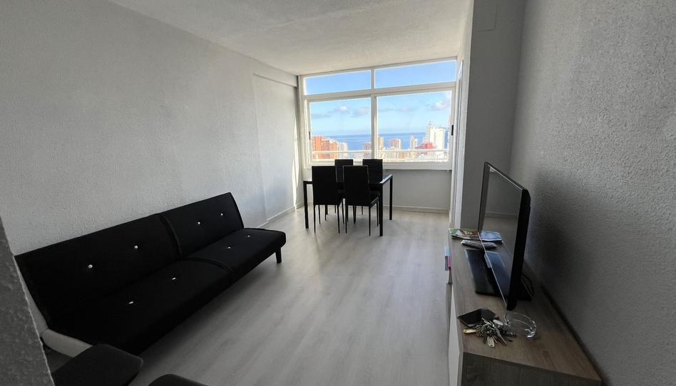 Photo 1 of Apartment to rent in Juzgados - Plaza de Toros, Alicante