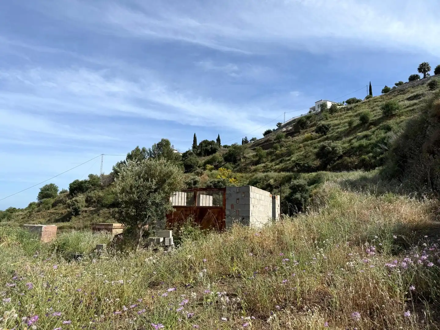 Terreni e lotti in vendita a Parcela PARCELA 309, POLIGONO 3, DEL PARAJE BARRANCO PÉREZ, imagen 5