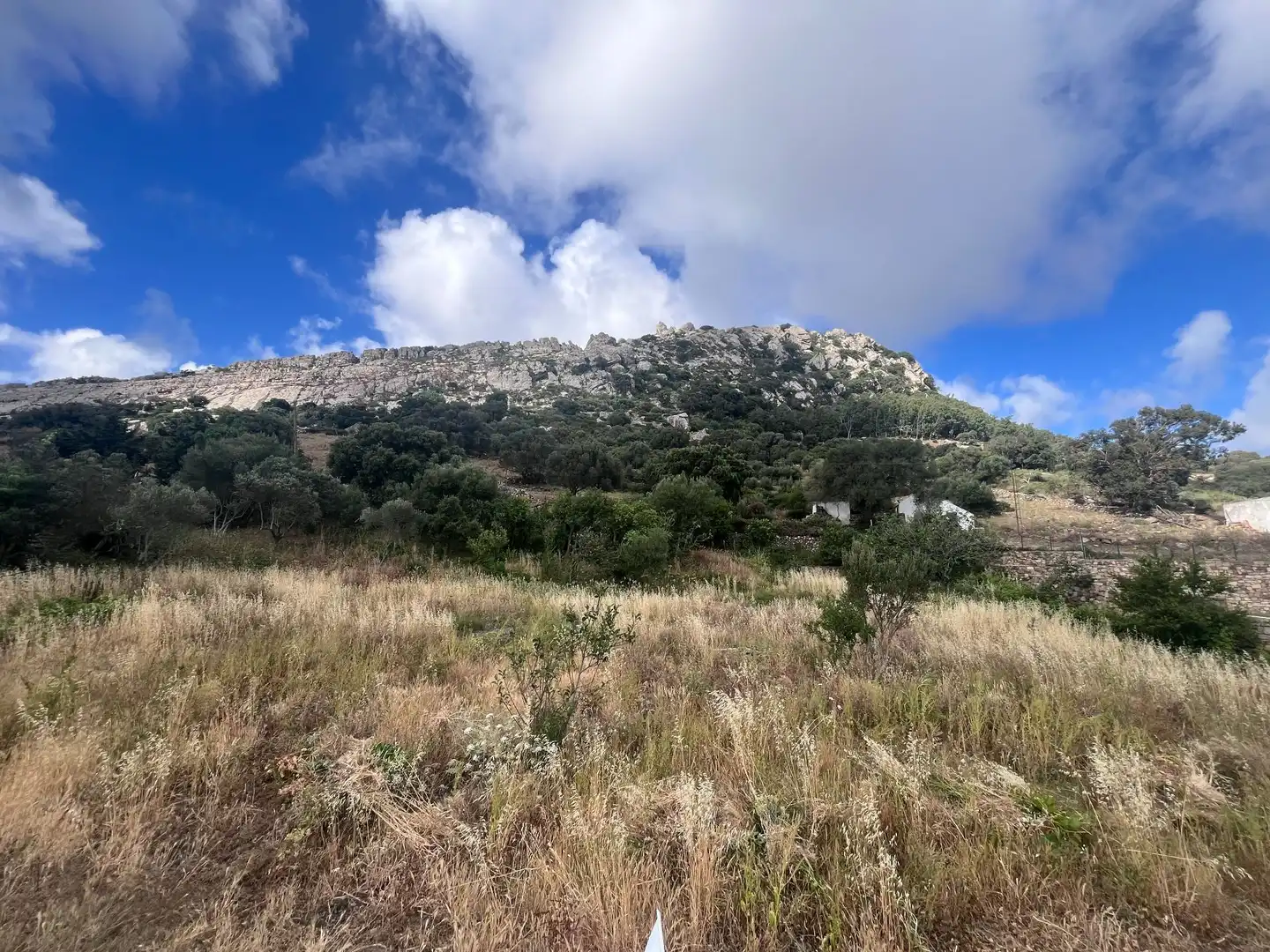 Finca rústica en venta en Tarifa con Jardín privado y Trastero