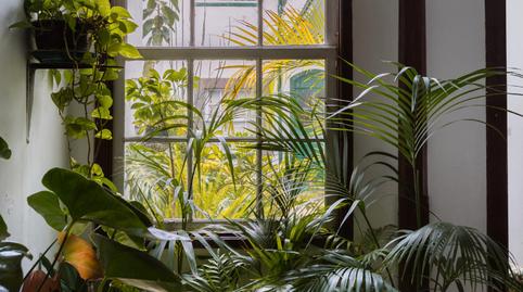 Foto 3 de Casa o chalet en venta en Calle San Agustín, La Laguna, San Cristóbal de la Laguna