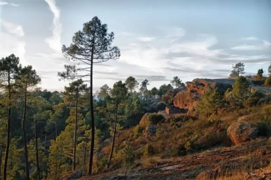 Land for sale in Cuenca