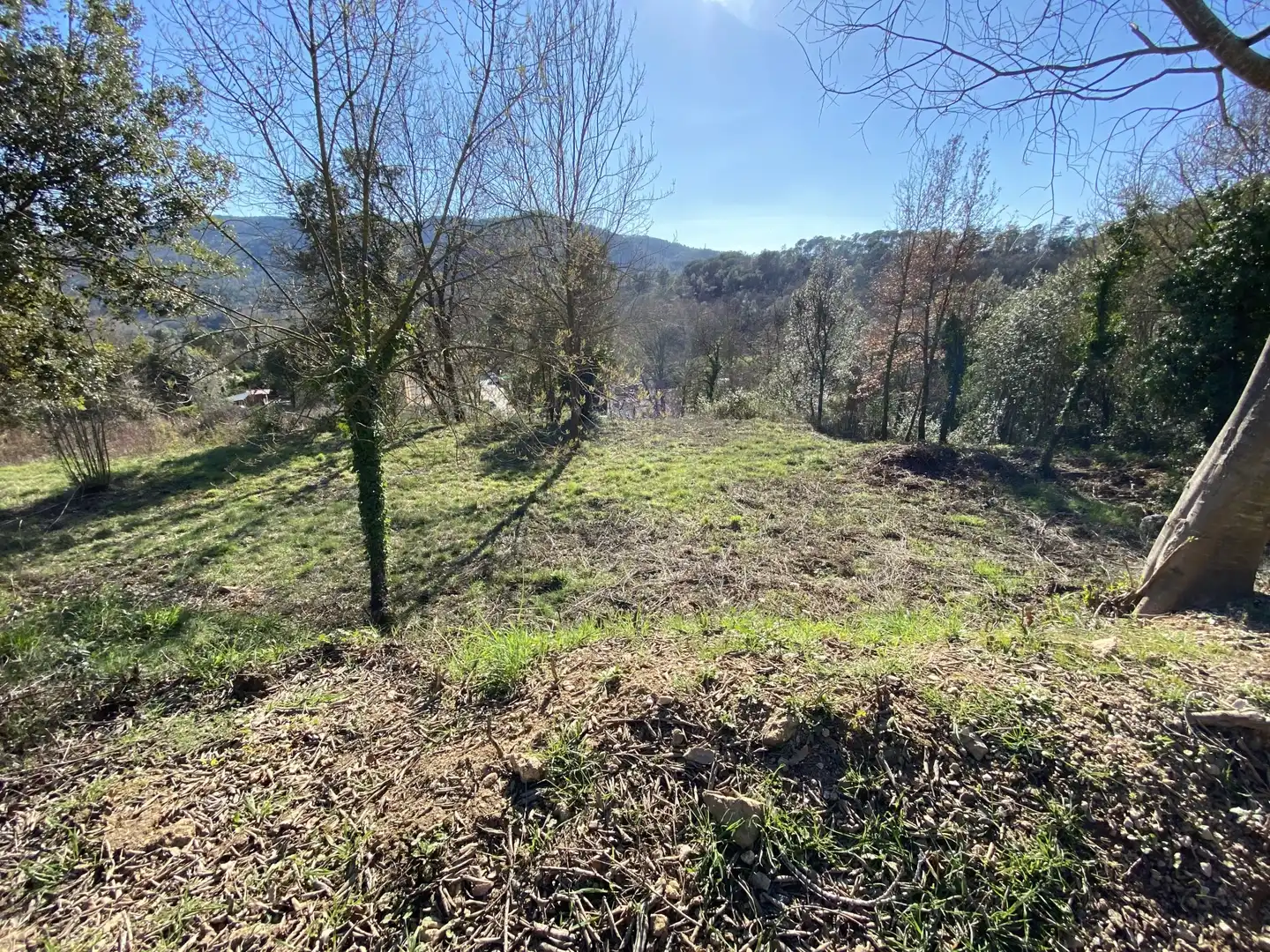 Terrenys i solars en venda a esglesia, imagen 5