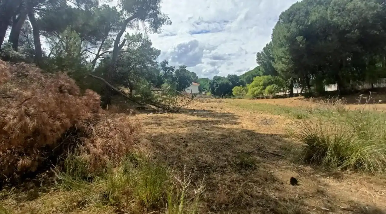 Lands and plots for sale in Campamento, imagen 10
