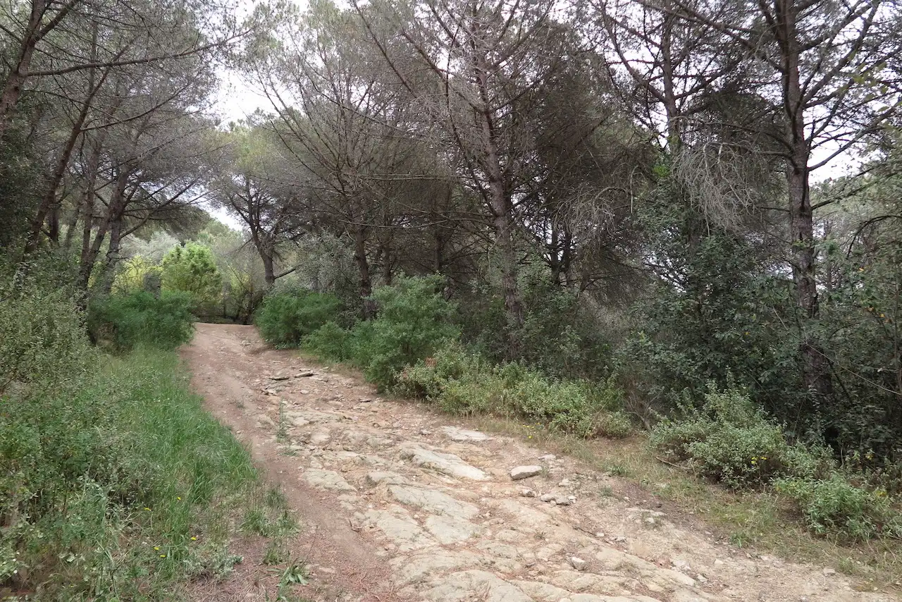 Rustikales Grundstück zum Verkauf in C/ Can Poi del Bosc, imagen 7