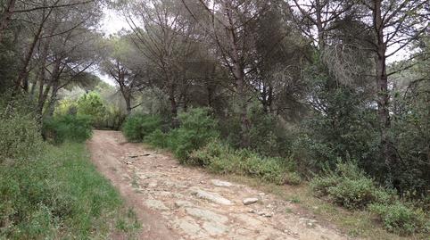 Photo 3 of Land for sale in Can Poi  del Bosc, Can Violí  - Can Poi del Bosc, Barcelona