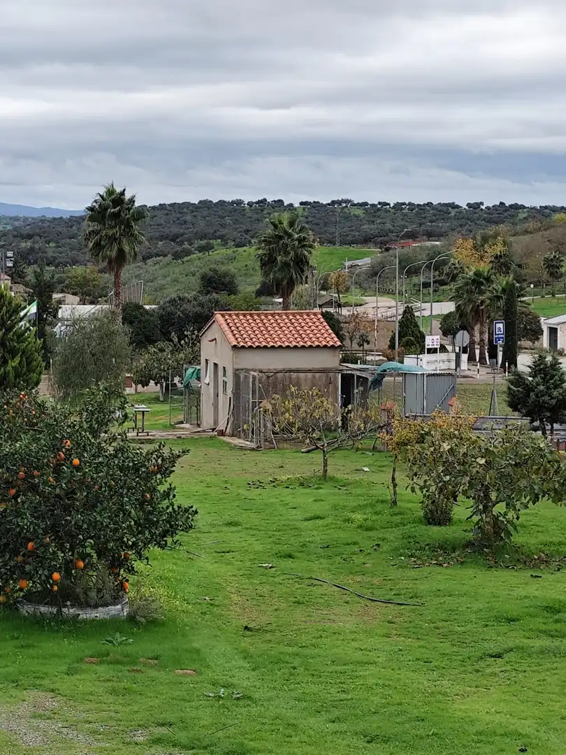 Garden of Land for sale in Atalaya