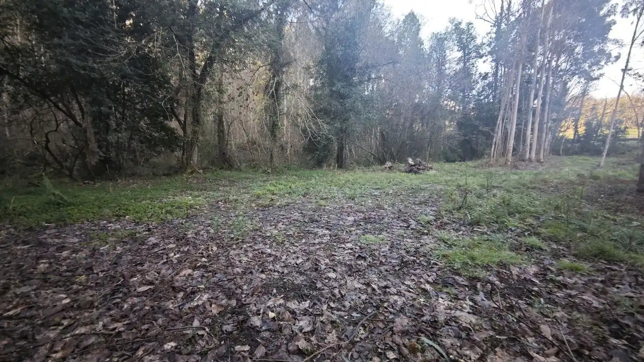 Terreno rustico in vendita a Pría - Nueva-Hontoria - Naves, imagen 6