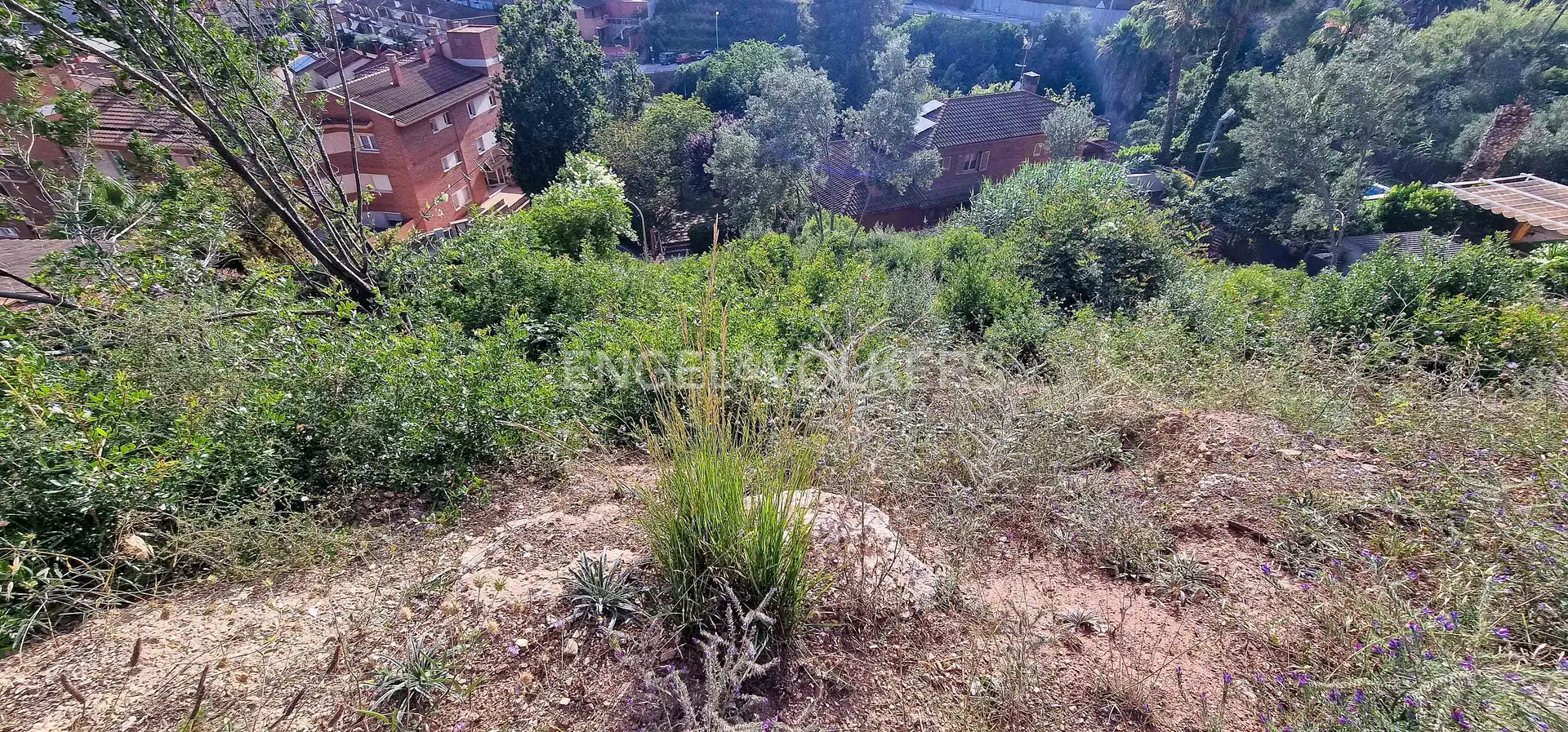 Terreno residencial en venta en La Palma de Cervelló