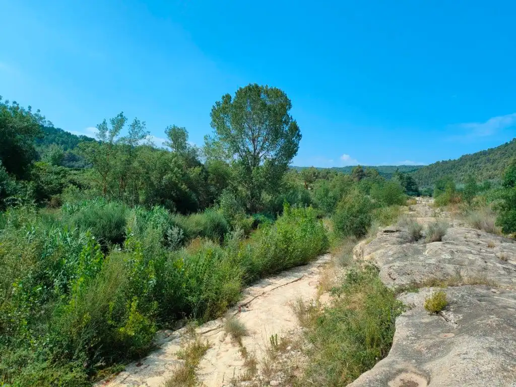 Terreni e lotti in vendita a Arens de Lledó, imagen 11