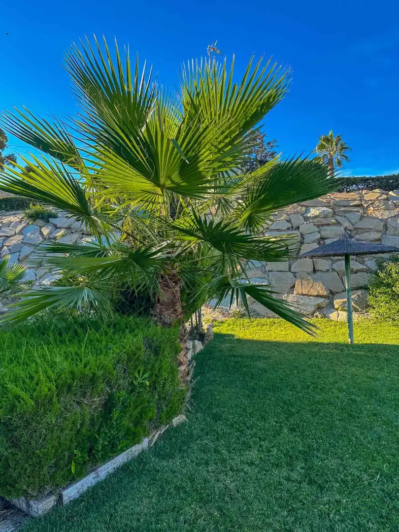 Jardín de Casa o chalet de alquiler en Pueblo Acantilado - Lanuza