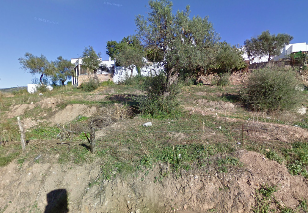 Industrial land for sale in Algar