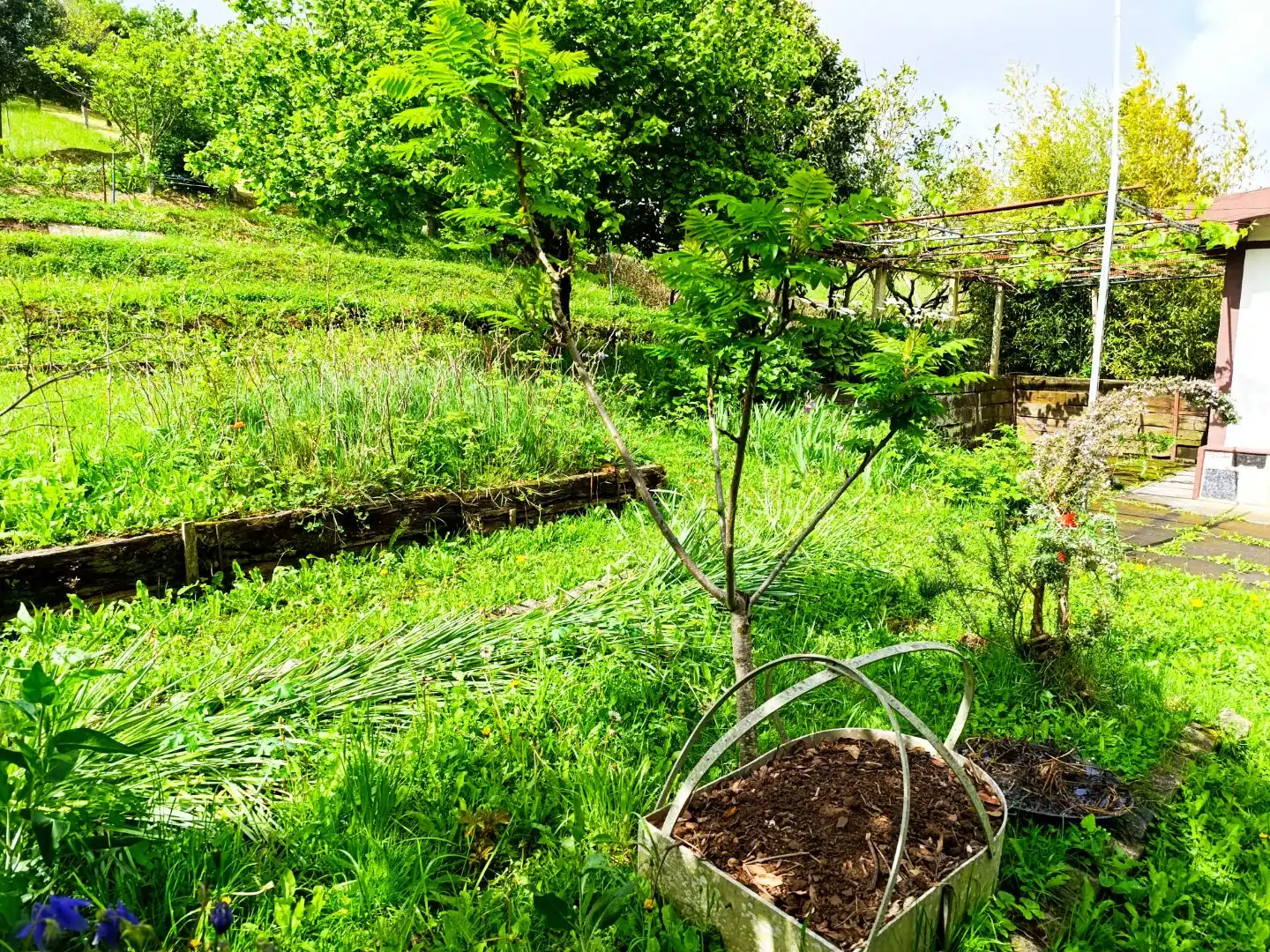Jardín de Terreno en venta en Ortuella