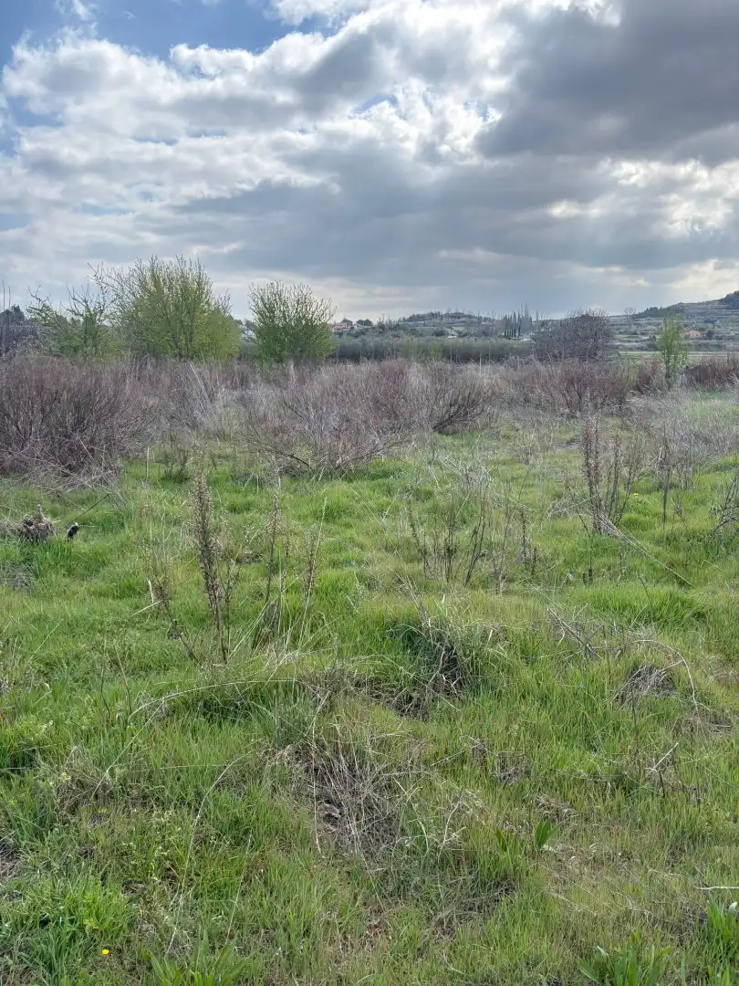 Terreno rústico en venta en Villamediana de Iregua, imagen 7