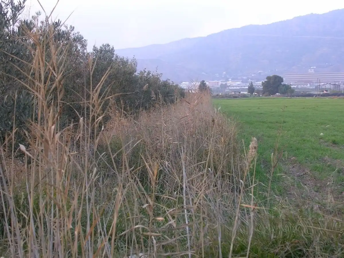 Terreni e lotti in vendita a Alhama de Murcia ciudad, imagen 6