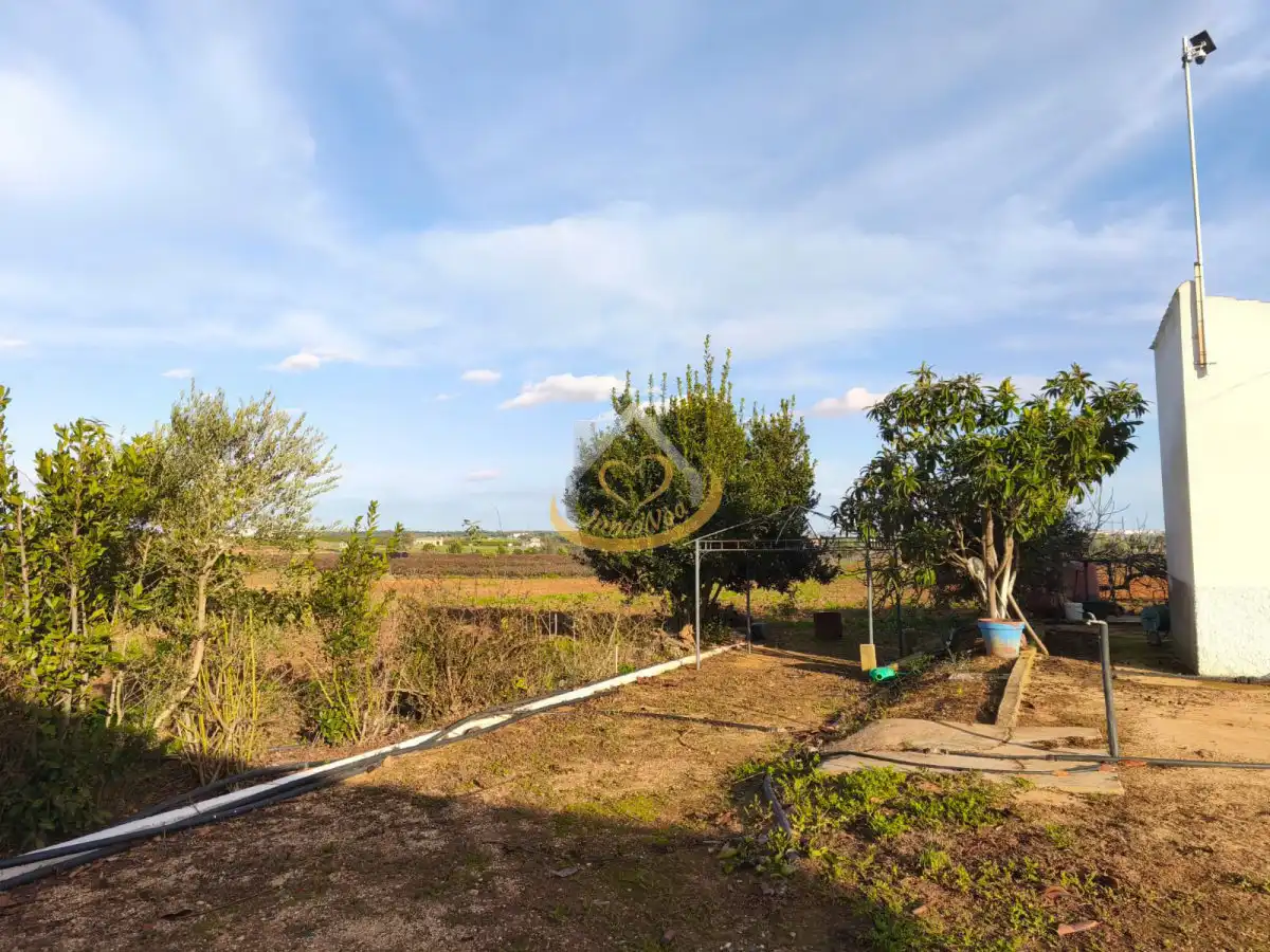 Terrenos y solares en venta en Núcleo urbano, imagen 38