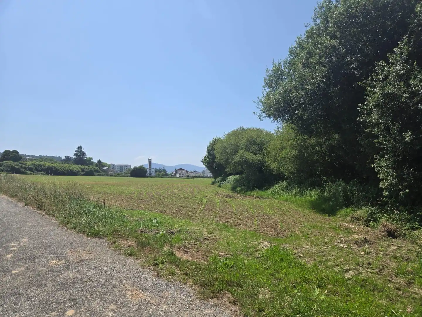 Rural land for sale in Calle PARROQUIA DE SAN COSME - VEIGUIÑA Nº 56, imagen 13