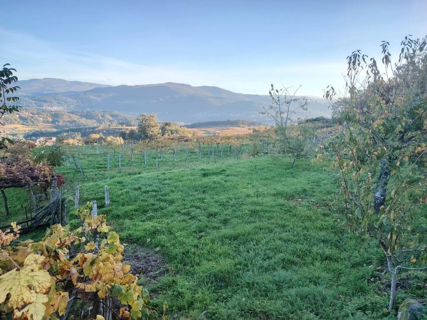 Casa o chalet en venta en Crecente