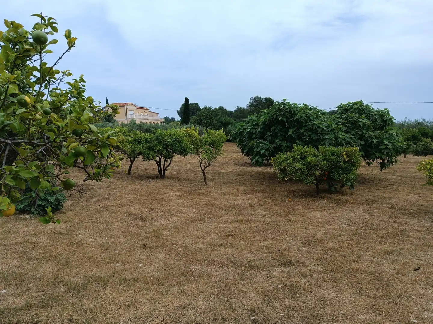 Terreno residencial en venta en Carrer Reus, imagen 11