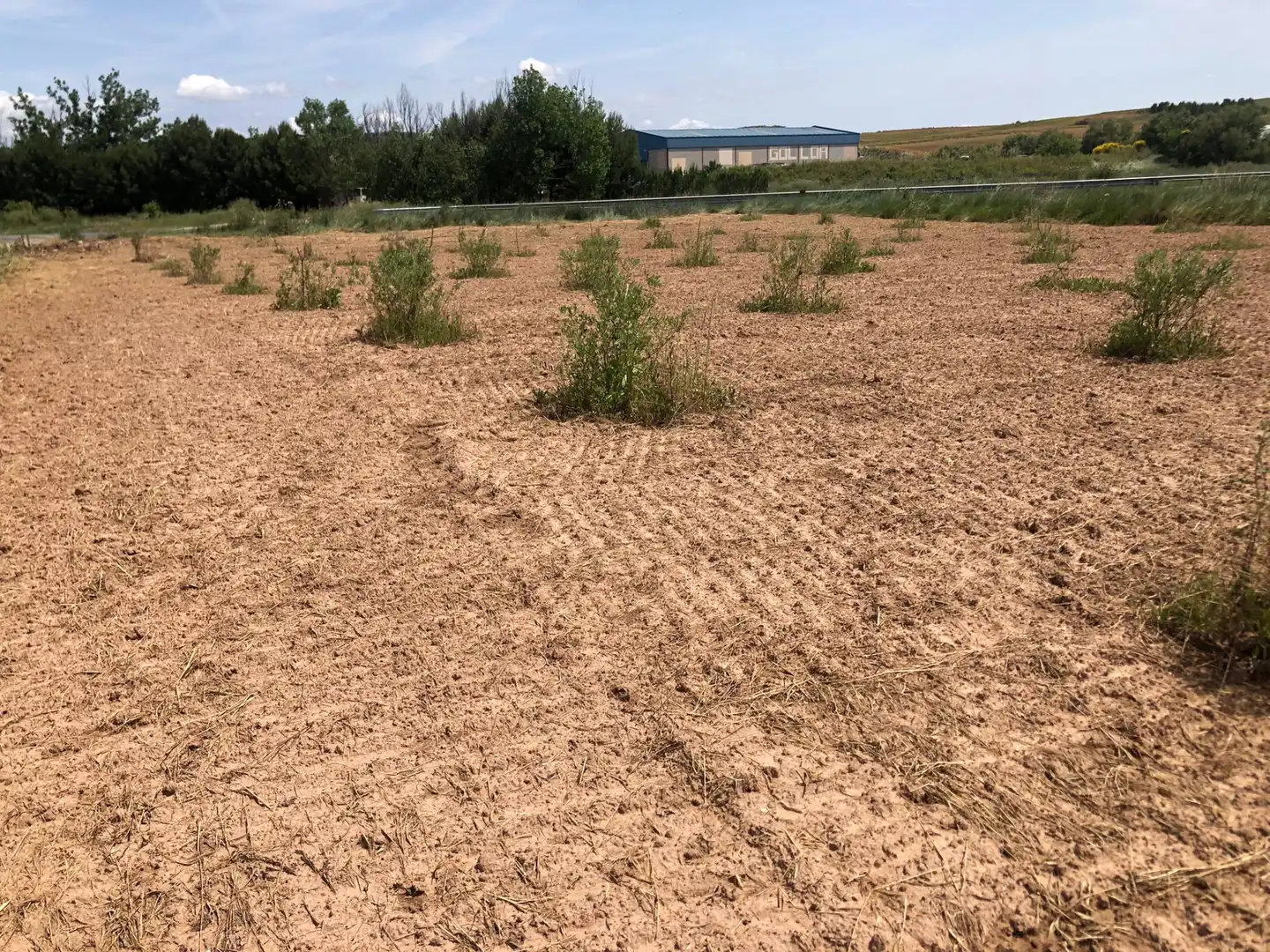 Terreny rústic en venda a Murillo de Río Leza, imagen 16