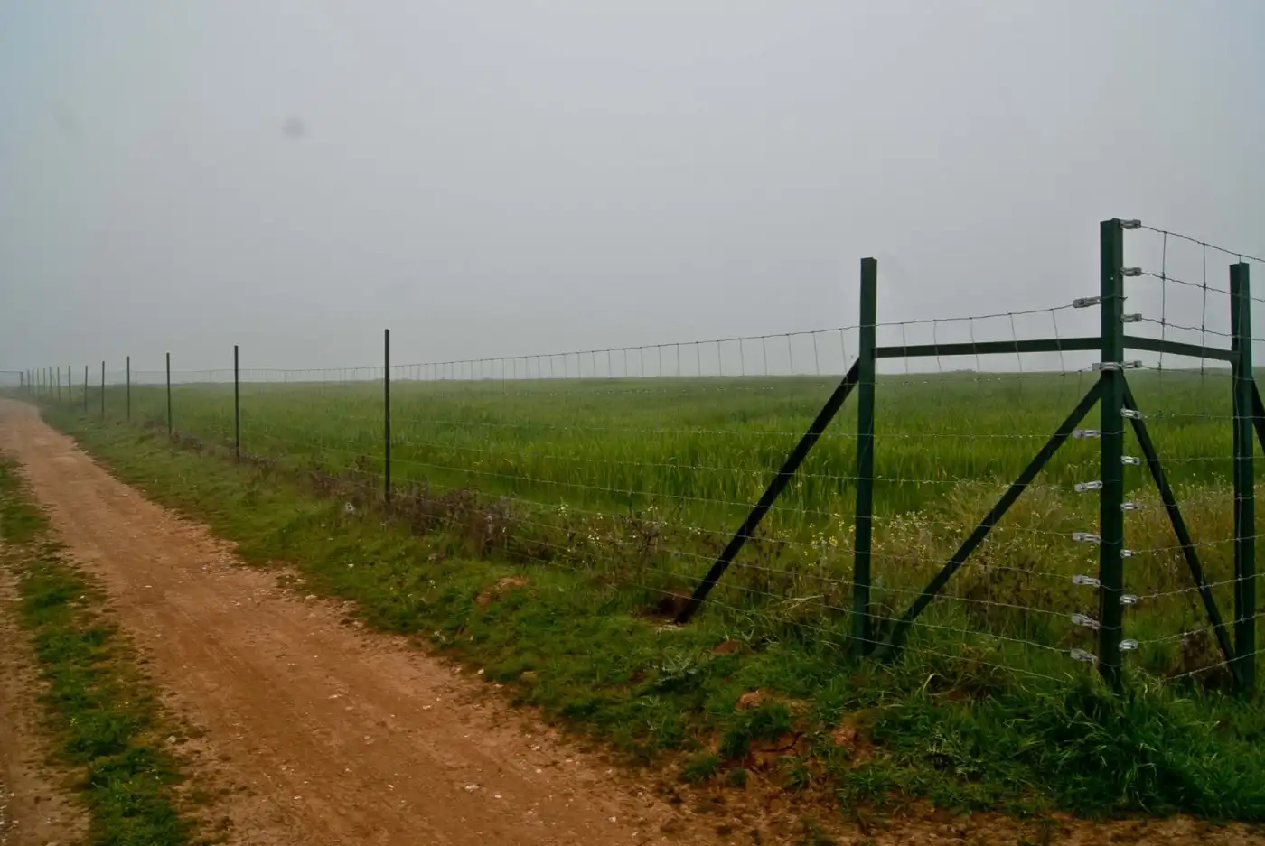 Terreni e lotti in vendita a Valdesalor - Rincón de Ballesteros, imagen 2
