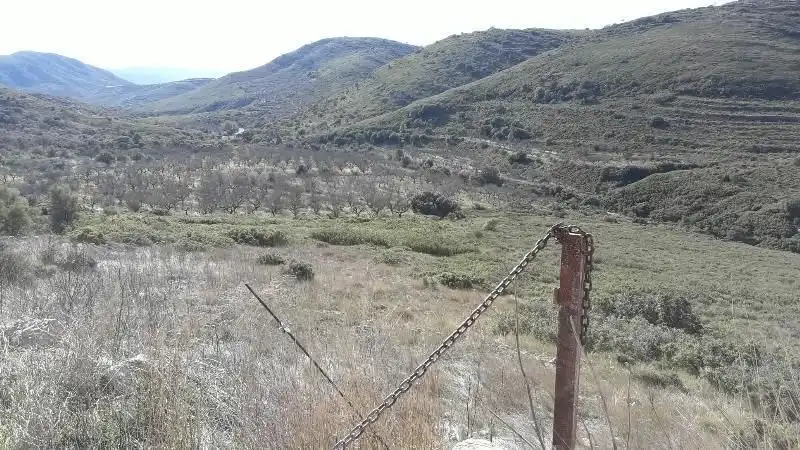 Rustikales Grundstück zum Verkauf in Tírig, imagen 7
