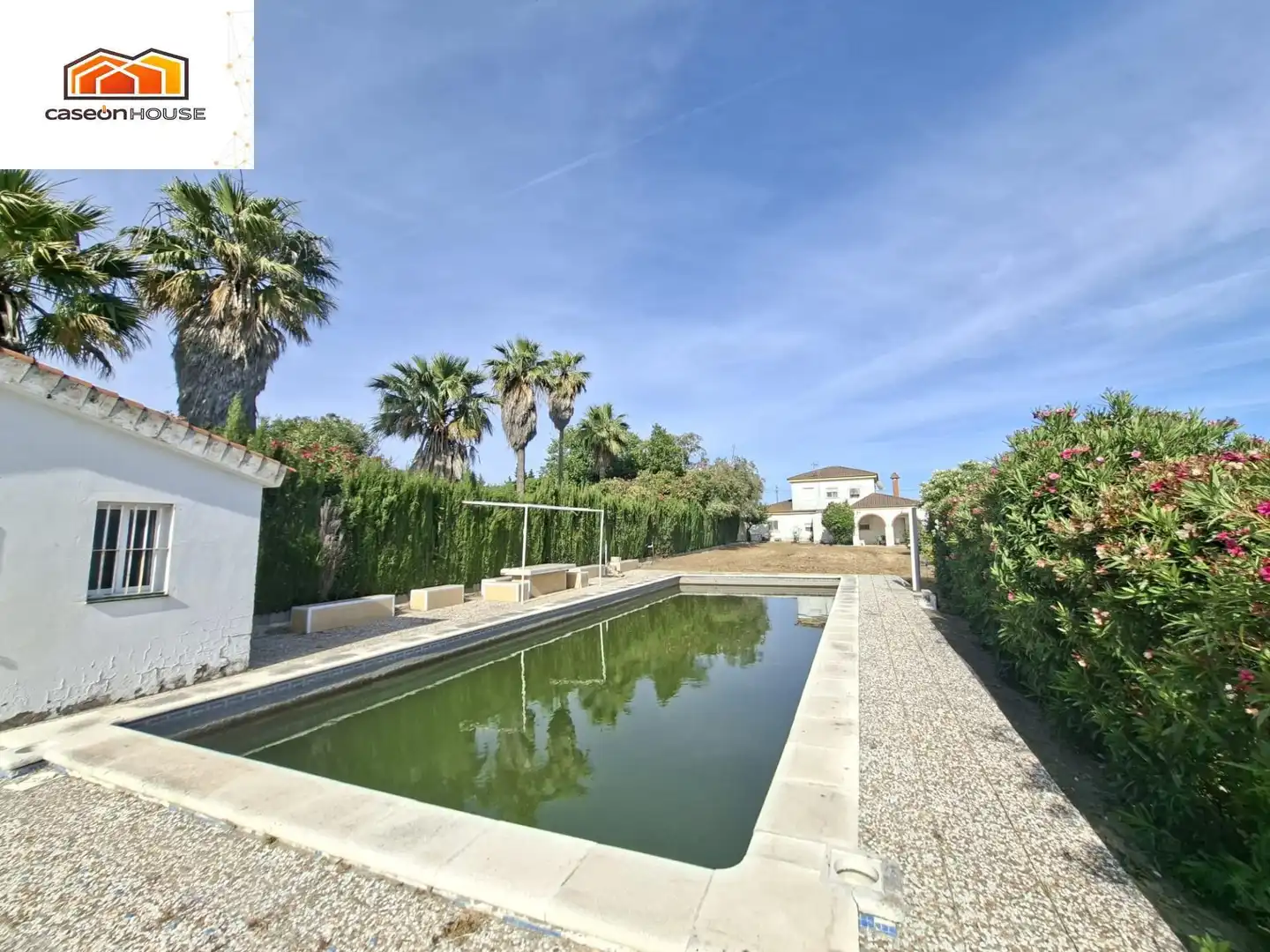 Vista exterior de Casa o chalet en venta en Chiclana de la Frontera con Terraza y Piscina comunitaria