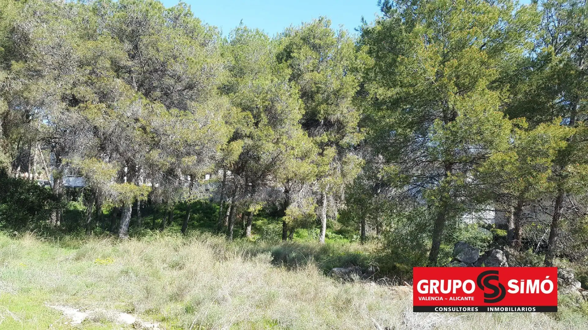 Wohnbaugrundstück zum Verkauf in El Vedat - Santa Apolonia, imagen 3