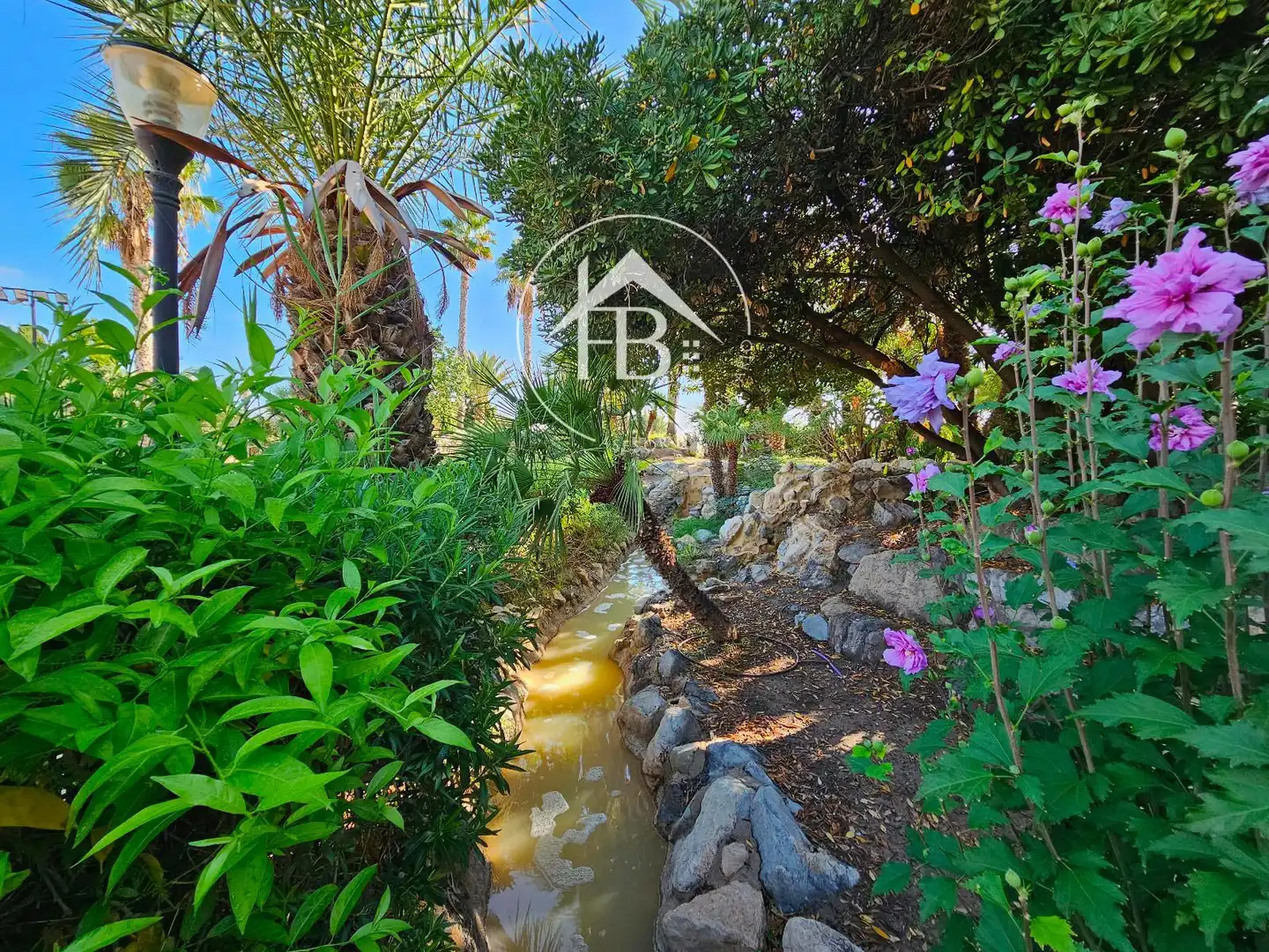 Terreno rustico in vendita a Centro, imagen 16