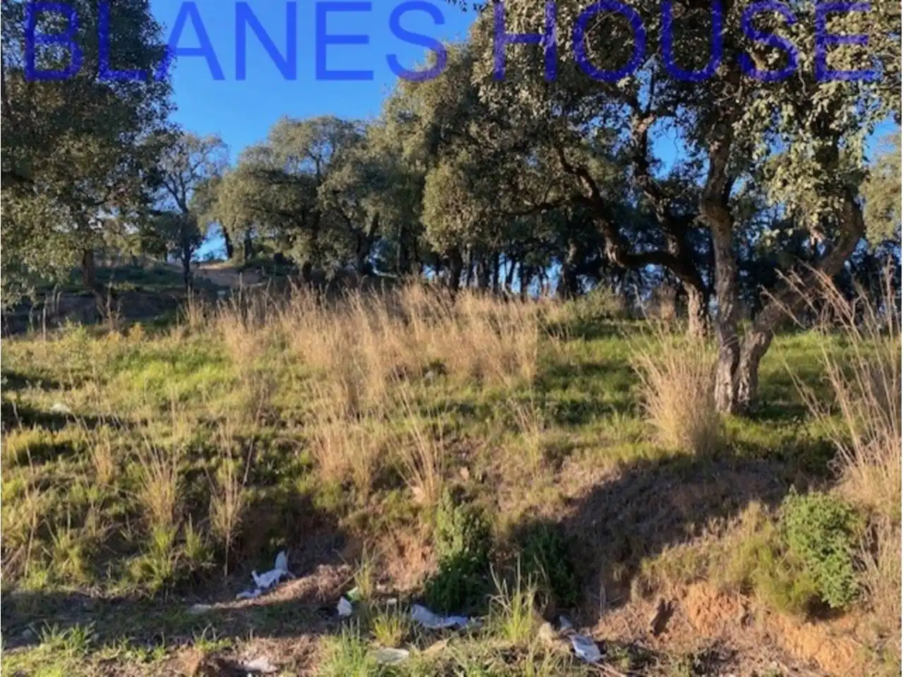 Terreno rustico in vendita a Calle Sensitiva, imagen 11
