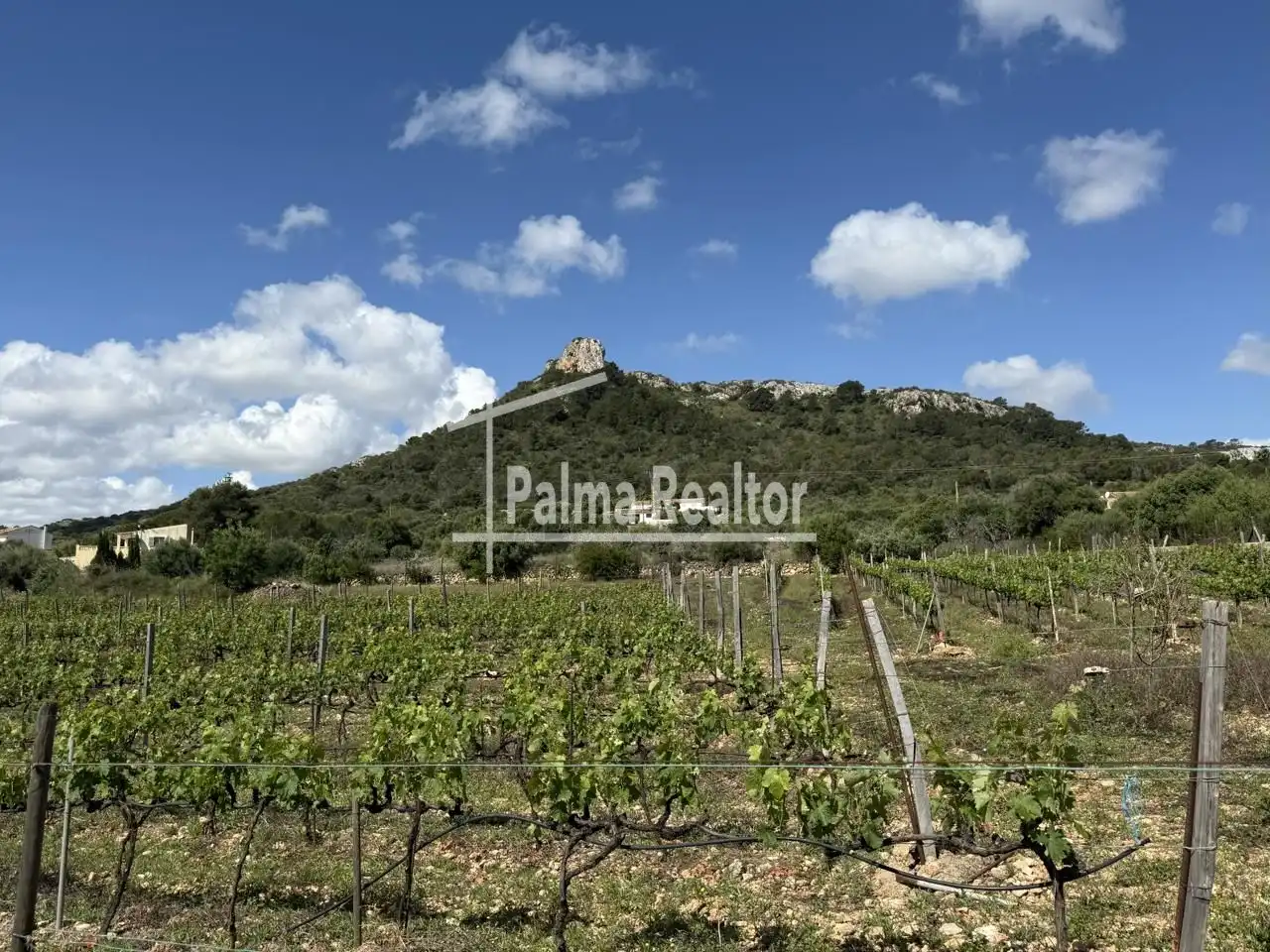 Residential for sale in Son Servera