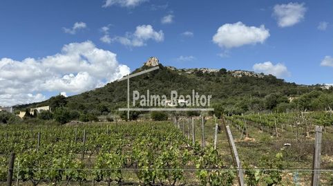Photo 3 of Residential for sale in Son Servera Poble, Son Servera