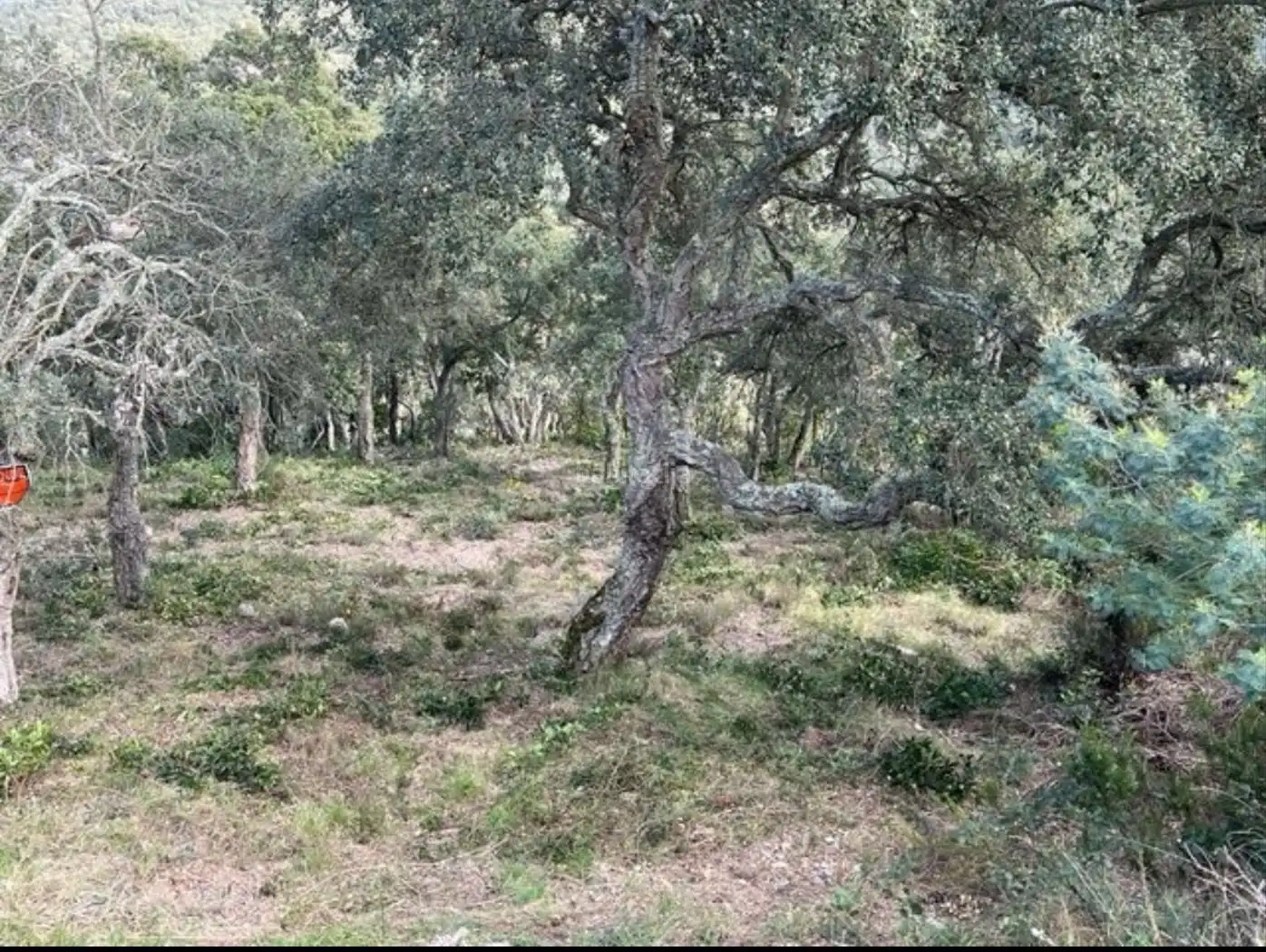 Residential land for sale in Carrer Penya de les Cols 67, imagen 7