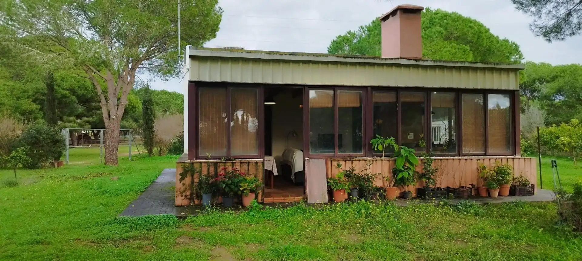 Jardín de Casa o chalet en venta en Puerto Real