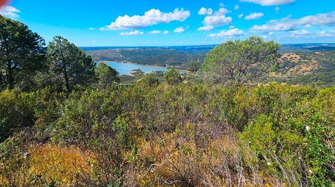 Photo 3 of Land for sale in N/a, -1, Nerva, Huelva