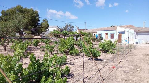 Foto 2 de Finca rústica en venta en El Mirador Pozo Aledo, San Javier