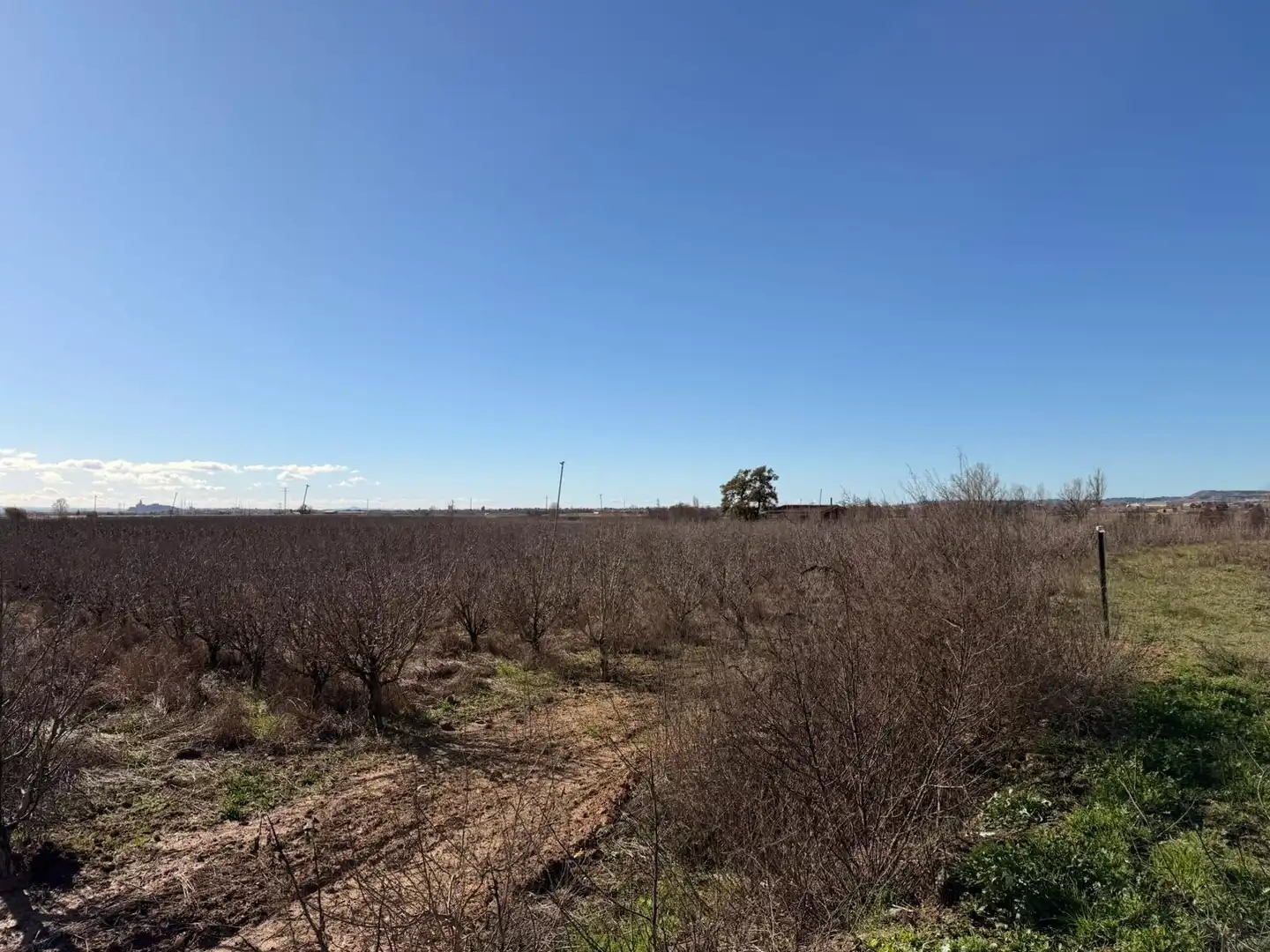 Terreno rustico in vendita a Corbins, imagen 10